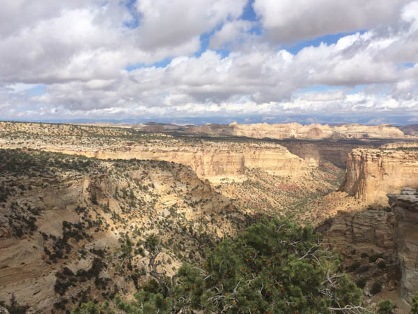 Red Rocks of Utah - Leash Your Fitness